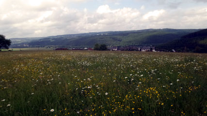 Wandertag 2016